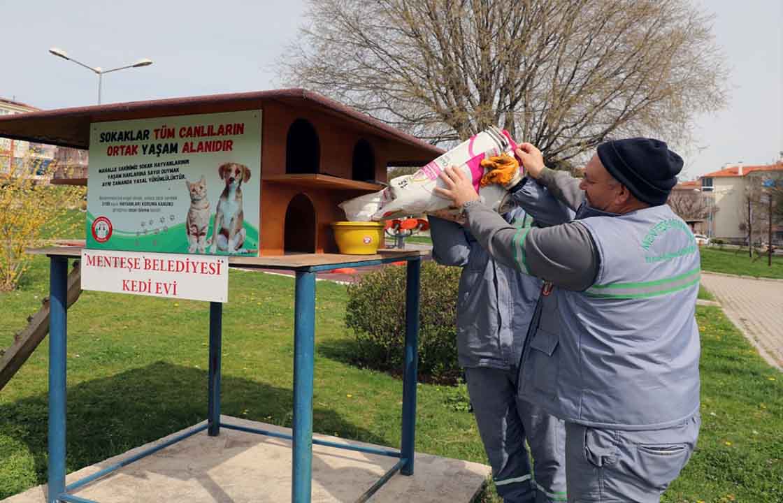 MENTEŞE BELEDİYESİ SOĞUK HAVALARDA CAN DOSTLARIMIZIN YANINDA
