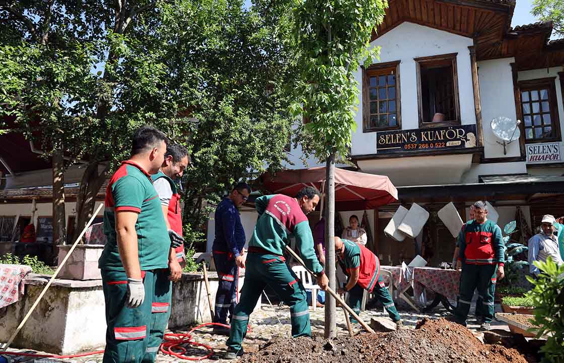 YAĞCILAR HANINDA DEVRİLEN ÇINARIN YERİNE YENİSİ DİKİLDİ