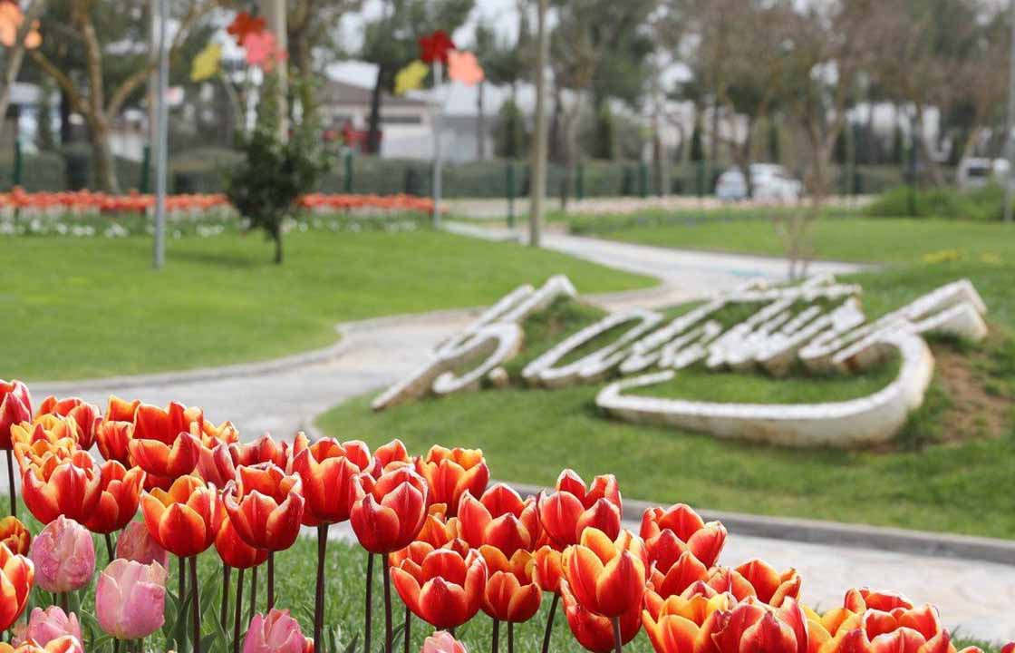 MENTEŞE’DE KİŞİ BAŞINA 7,25 METREKARE YEŞİL ALAN DÜŞÜYOR