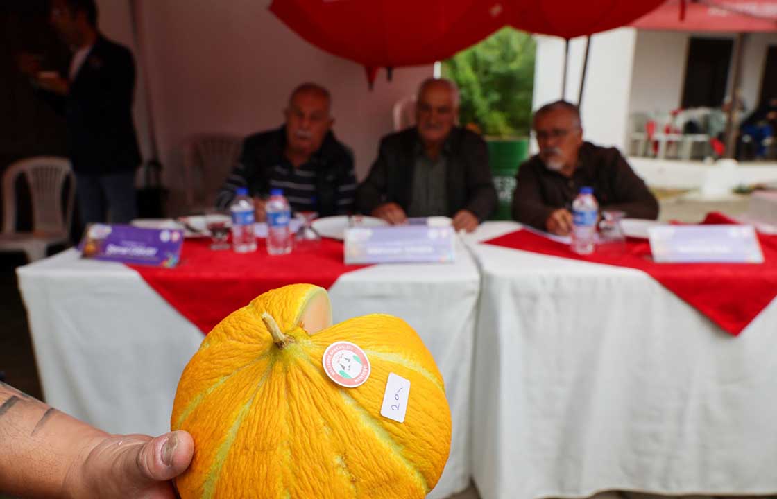 Yaylanın En Güzel Kavunları Seçildi